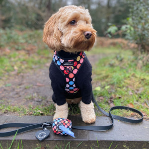 Adjustable Harness – Be Happy - Charity Collection