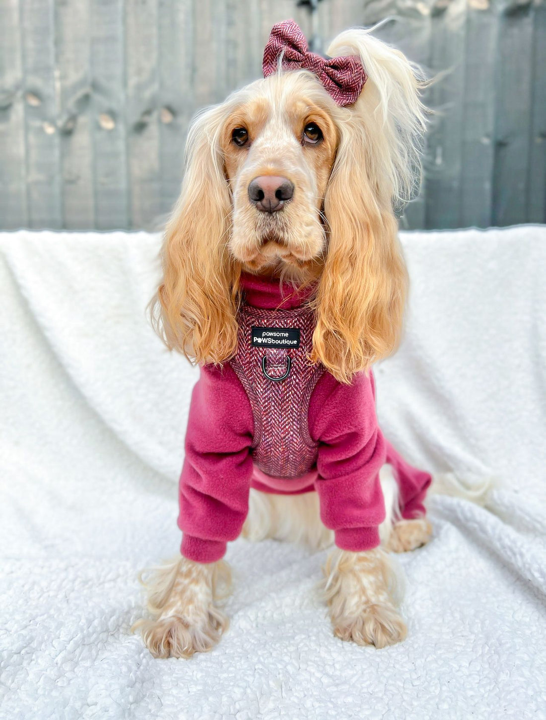 Bow Tie - Country Burgundy