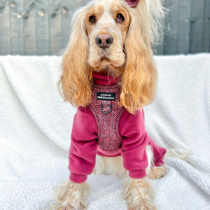 Bow Tie - Country Burgundy