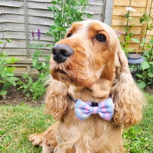 Bow Tie - PPB Pastel Swirl