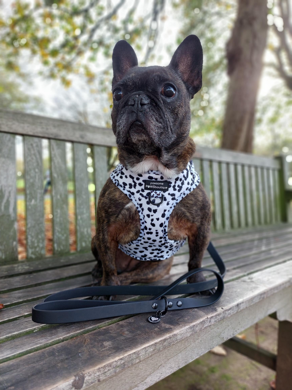 Adjustable Harness – Perdita