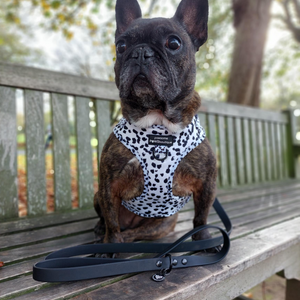Adjustable Harness – Perdita