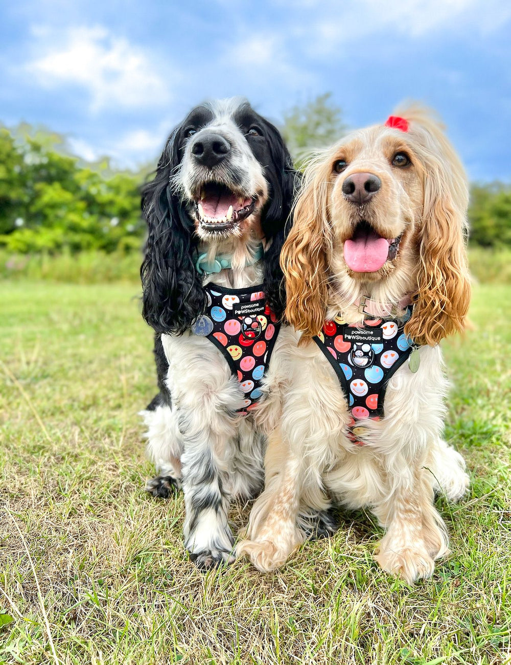Adjustable Harness – Be Happy - Charity Collection