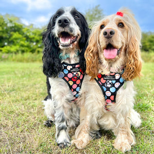 Adjustable Harness – Be Happy - Charity Collection