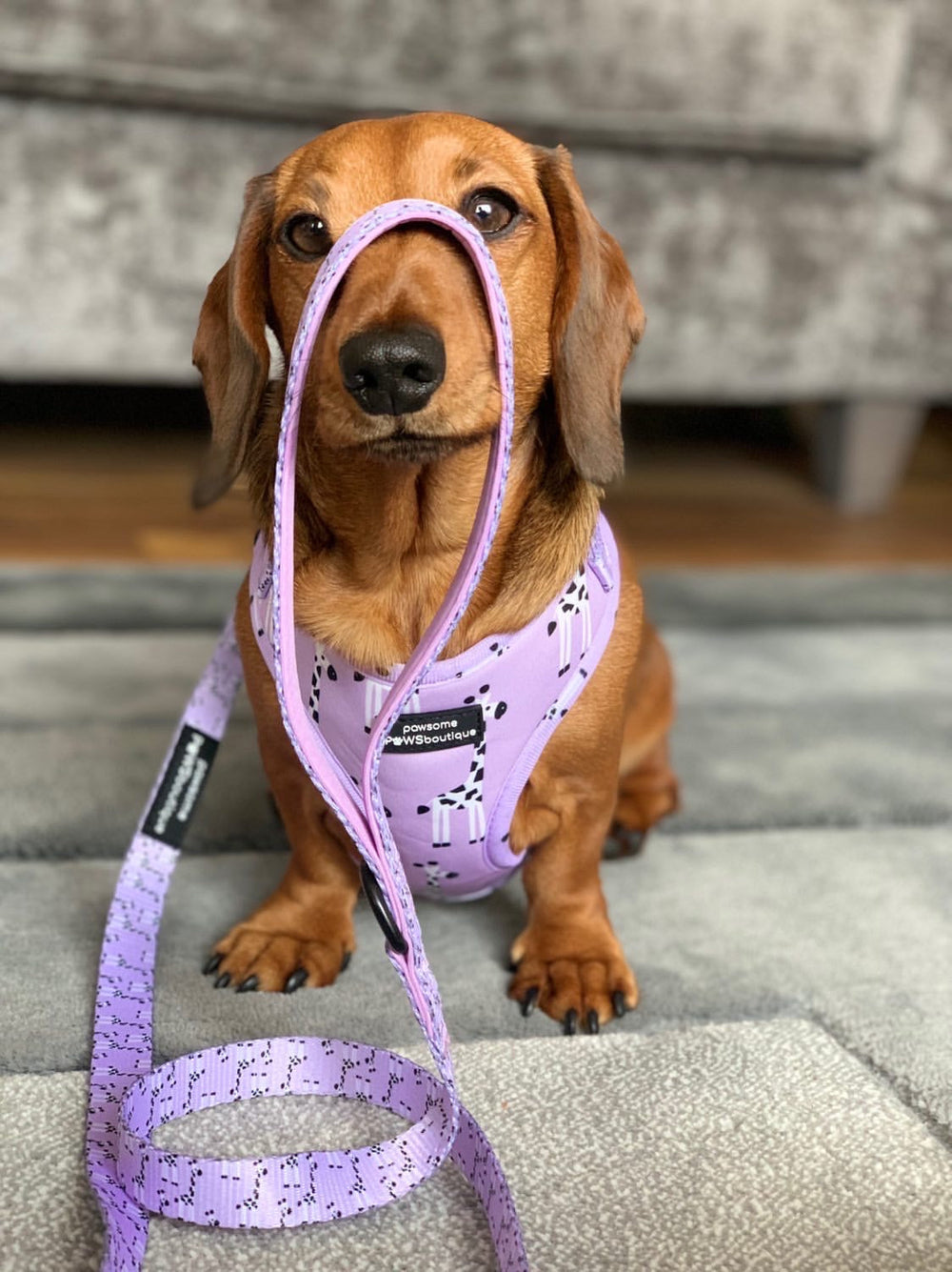 Adjustable Harness - Georgina The Giraffe