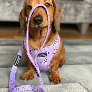 Adjustable Harness - Georgina The Giraffe