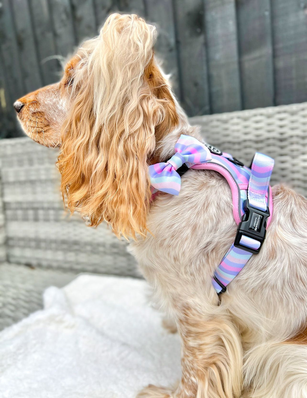 Bow Tie - PPB Pastel Swirl