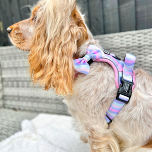 Bow Tie - PPB Pastel Swirl