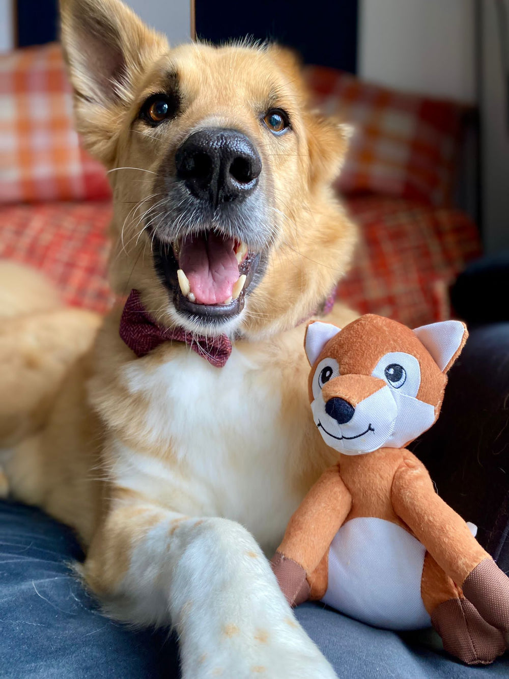 Bow Tie - Country Burgundy