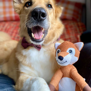 Bow Tie - Country Burgundy