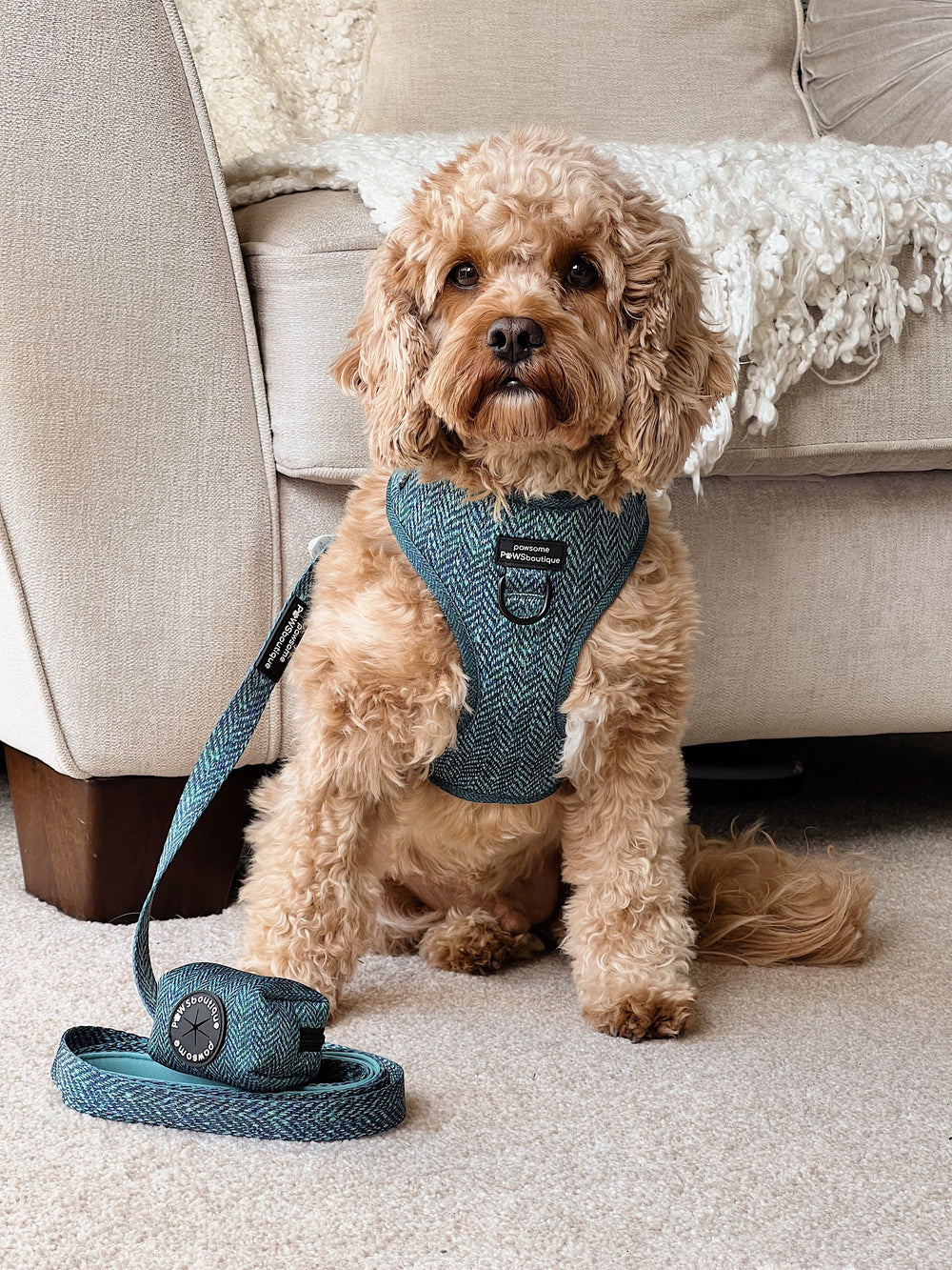 Poo Bag Holder - Country Teal