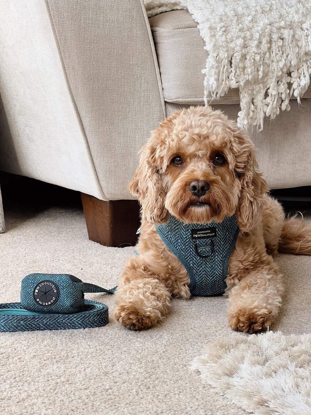 Poo Bag Holder - Country Teal