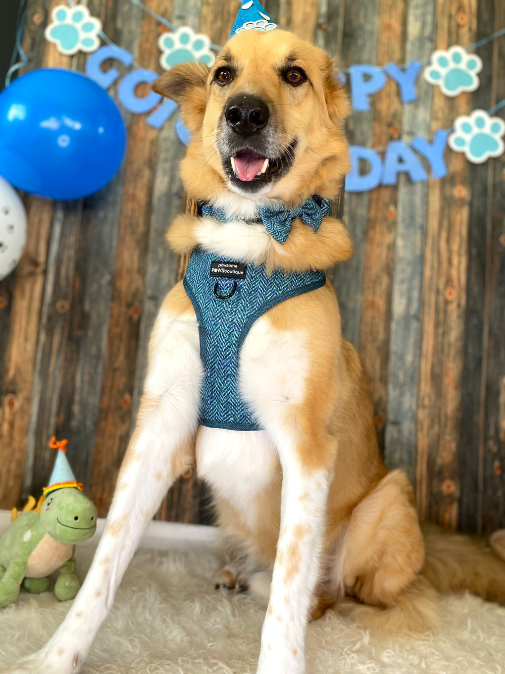 Bow Tie - Country Teal