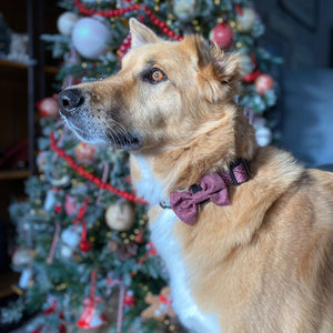 Collar - Country Burgundy