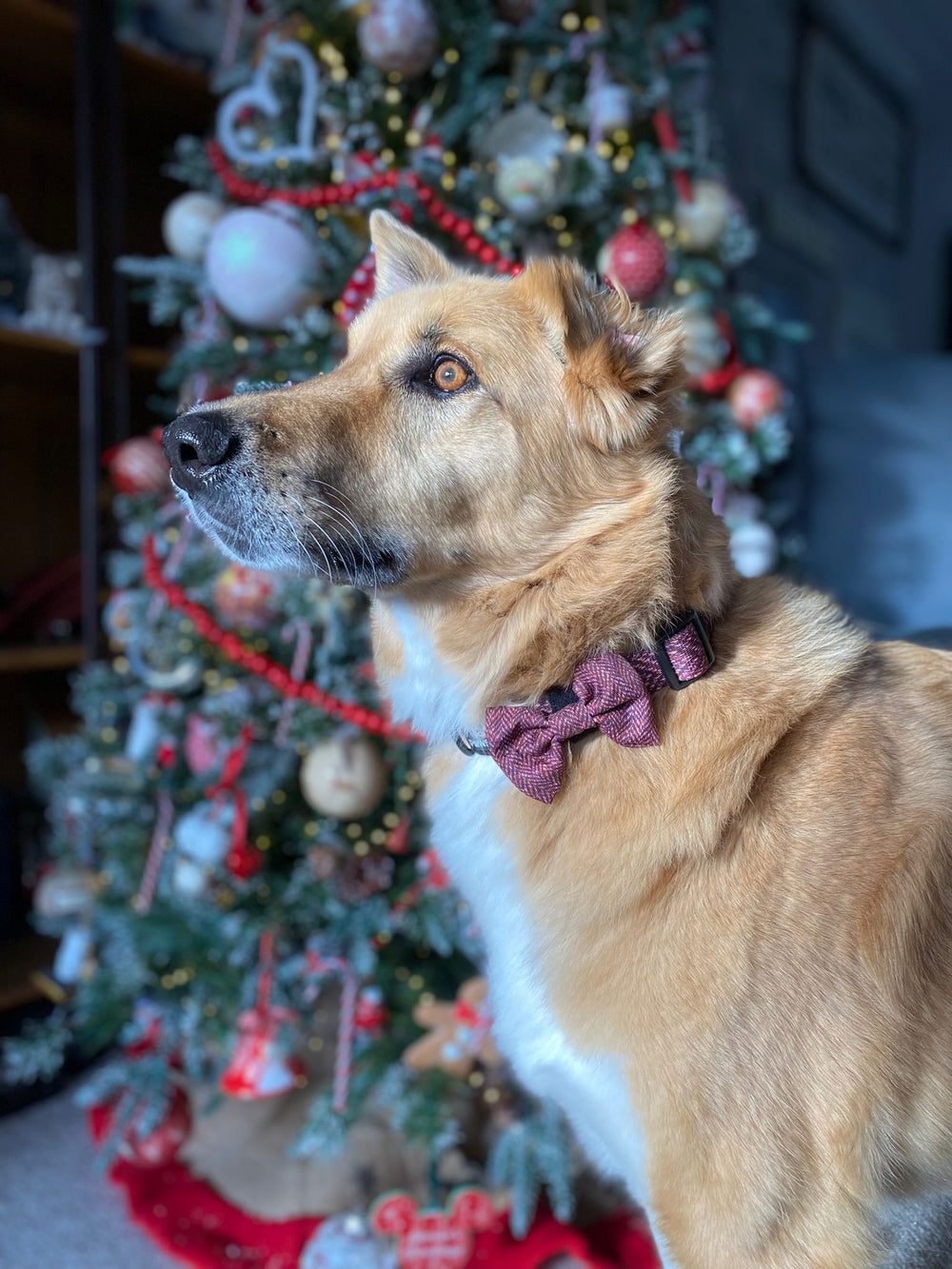 Bow Tie - Country Burgundy