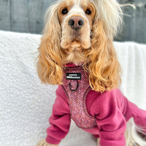 Bow Tie - Country Burgundy
