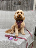 Poo Bag Holder - Country Burgundy
