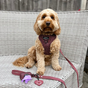 Poo Bag Holder - Country Burgundy