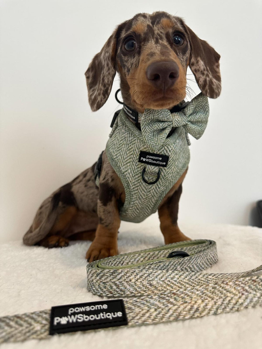 Bow Tie - Country Thyme