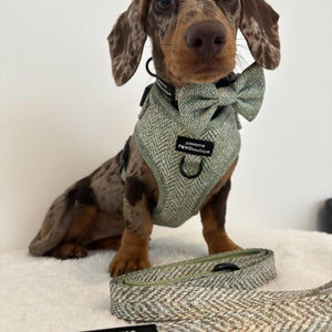 Collar - Country Thyme