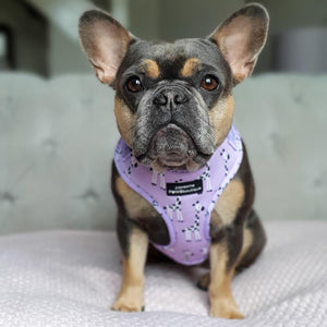 Adjustable Harness - Georgina The Giraffe