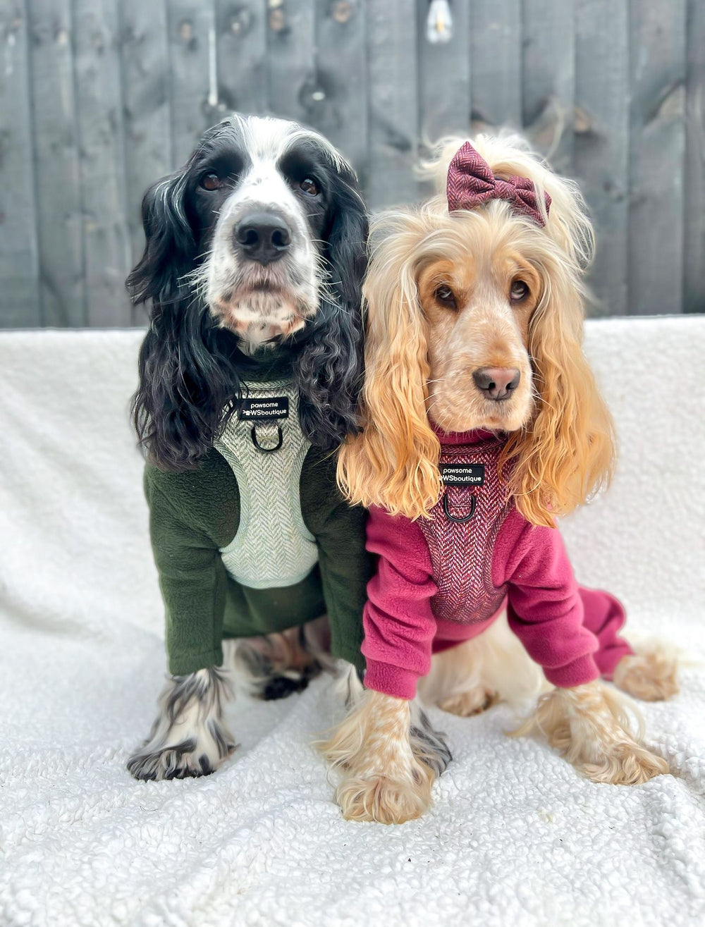 Bow Tie - Country Burgundy