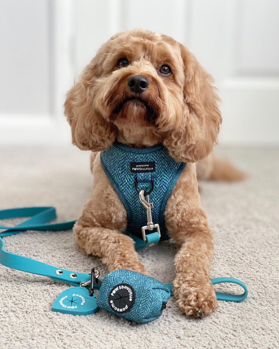 Poo Bag Holder - Country Teal