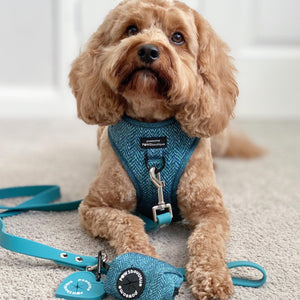 Poo Bag Holder - Country Teal