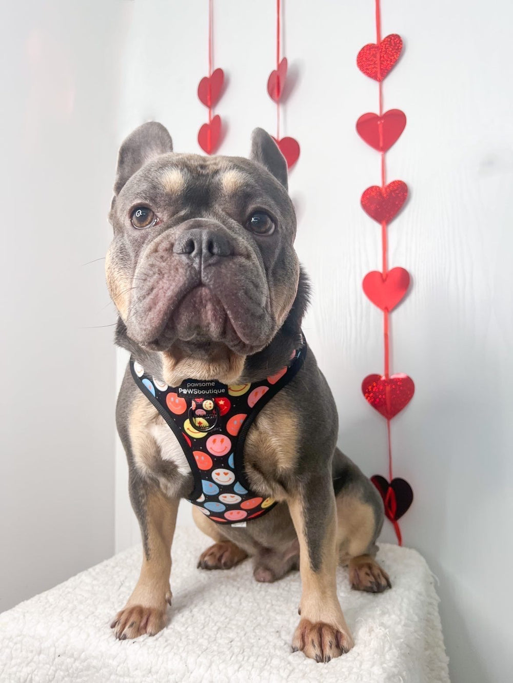 Adjustable Harness – Be Happy - Charity Collection