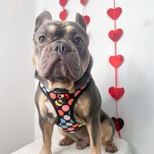 Adjustable Harness – Be Happy - Charity Collection