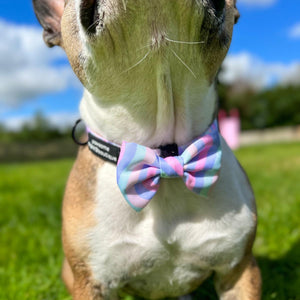 Bow Tie - PPB Pastel Swirl