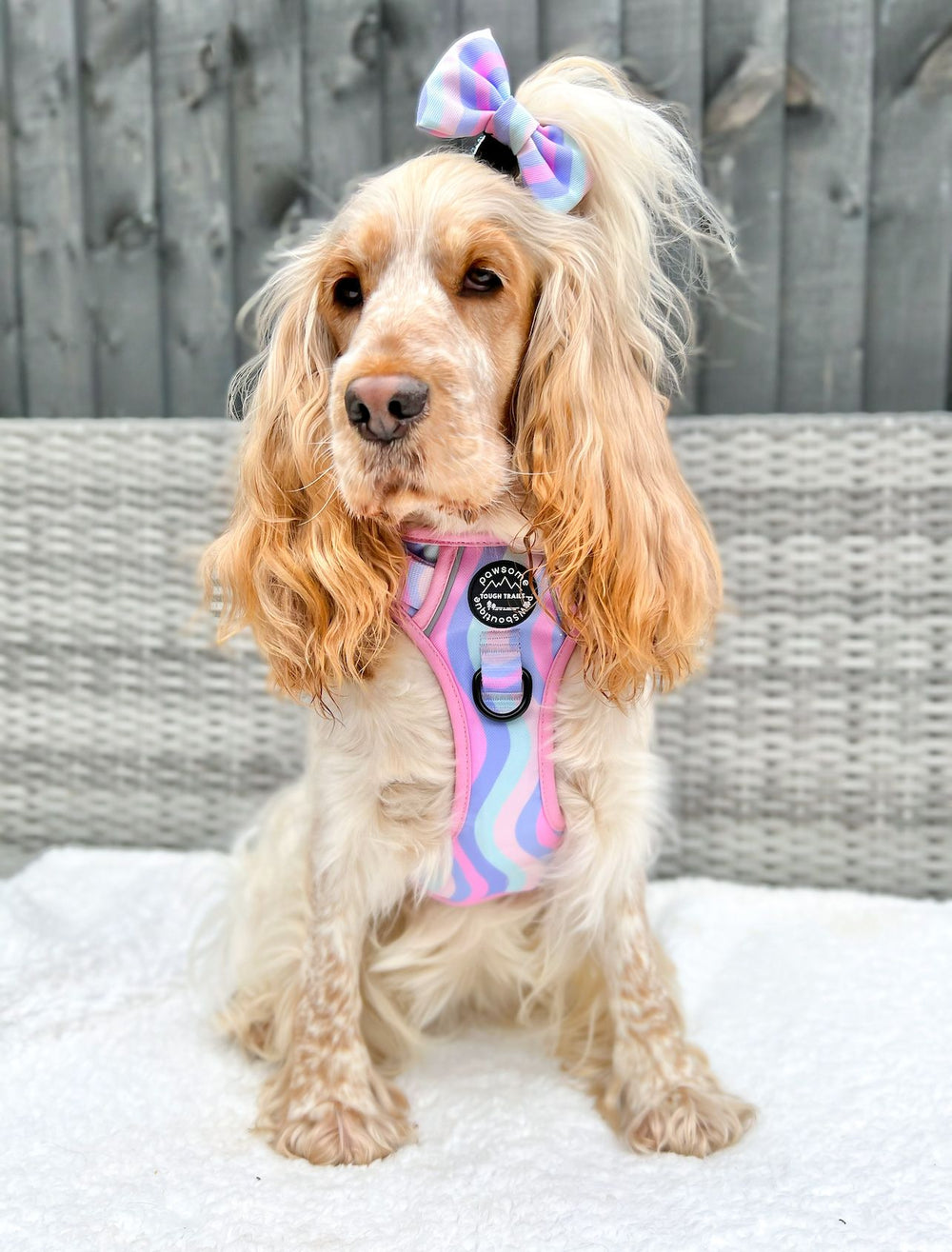 Bow Tie - PPB Pastel Swirl