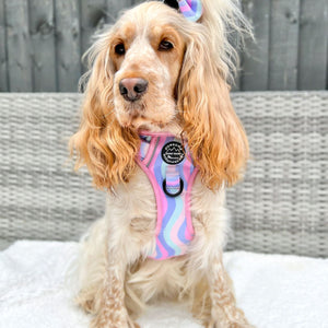 Bow Tie - PPB Pastel Swirl