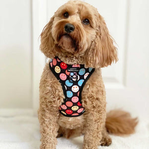 Adjustable Harness – Be Happy - Charity Collection