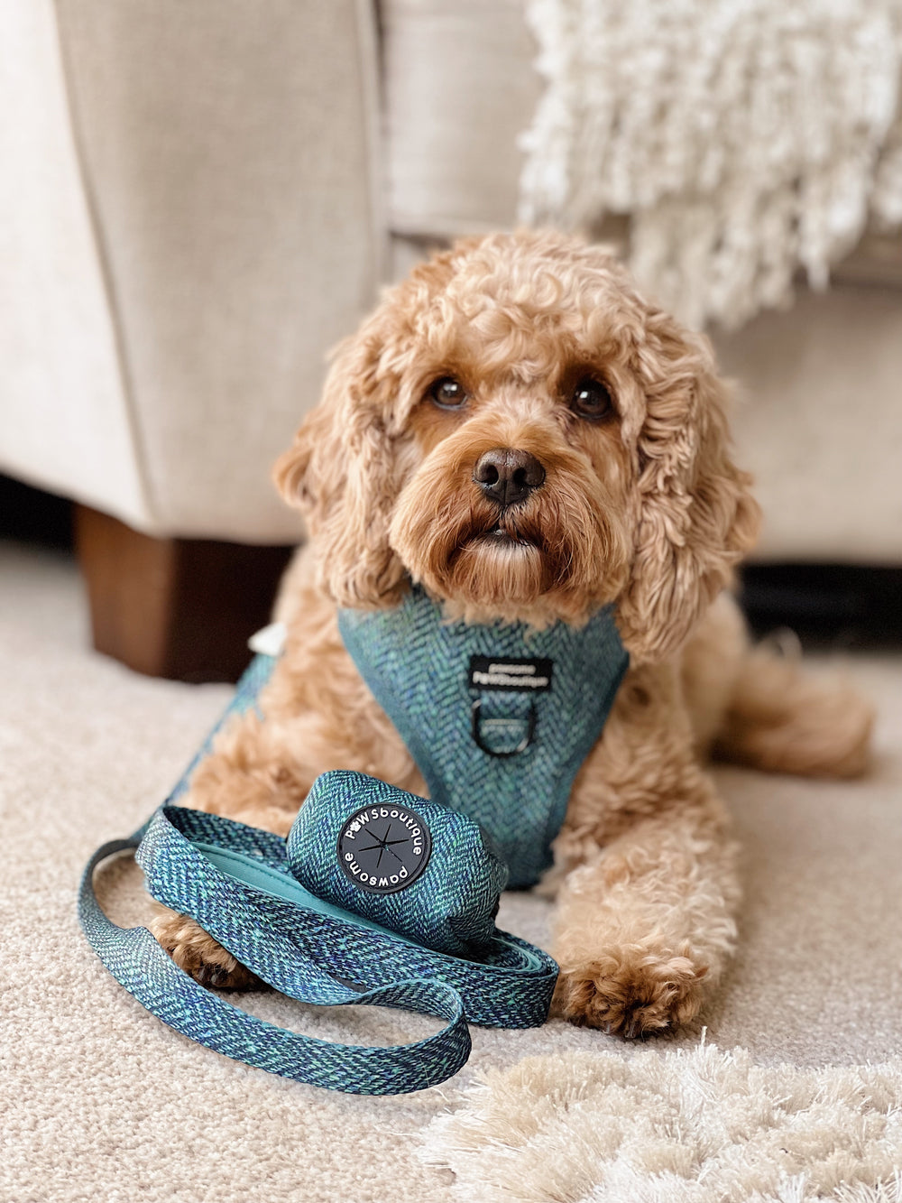Poo Bag Holder - Country Teal