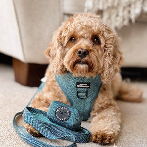 Poo Bag Holder - Country Teal