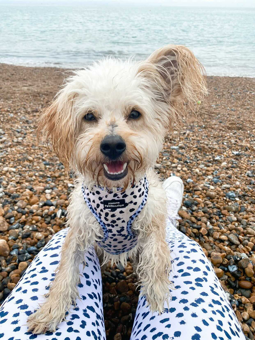 Adjustable Harness – Perdita