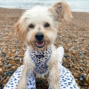 Adjustable Harness – Perdita