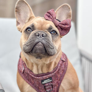 Bow Tie - Country Burgundy