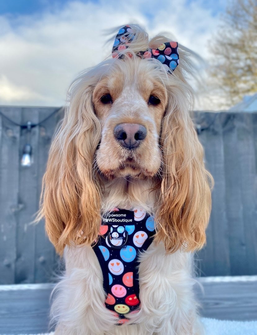 Adjustable Harness – Be Happy - Charity Collection