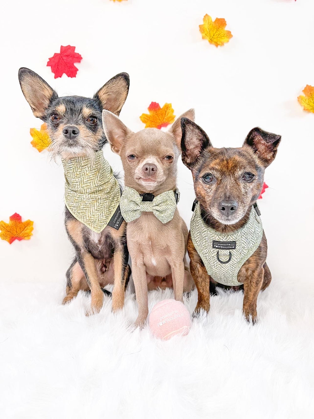 Bow Tie - Country Thyme