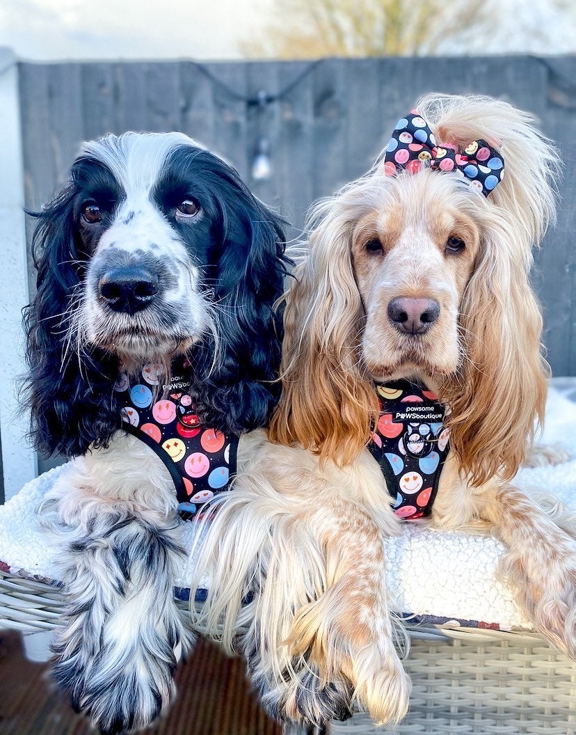 Adjustable Harness – Be Happy - Charity Collection