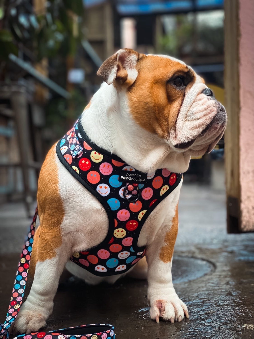 Adjustable Harness – Be Happy - Charity Collection