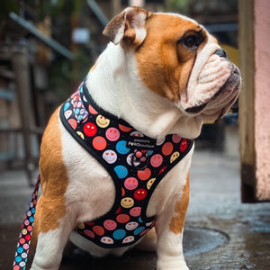 Adjustable Harness – Be Happy - Charity Collection