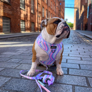 Poo Bag Holder - PPB Pastel Swirl