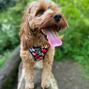 Adjustable Harness – Be Happy - Charity Collection