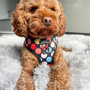 Adjustable Harness – Be Happy - Charity Collection