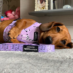 Adjustable Harness - Georgina The Giraffe