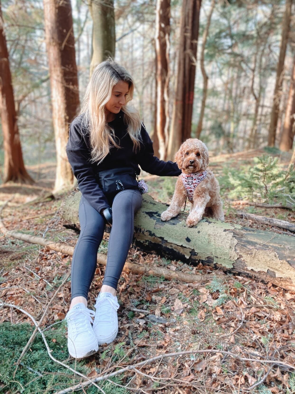 All In One Bumbag - Black