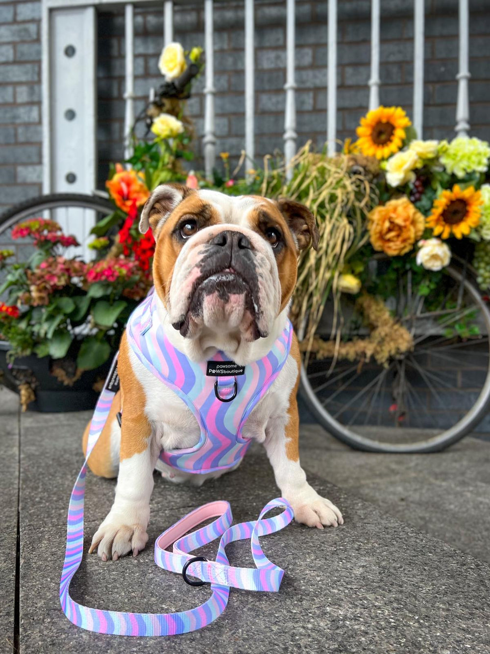 Lead - PPB Pastel Swirl